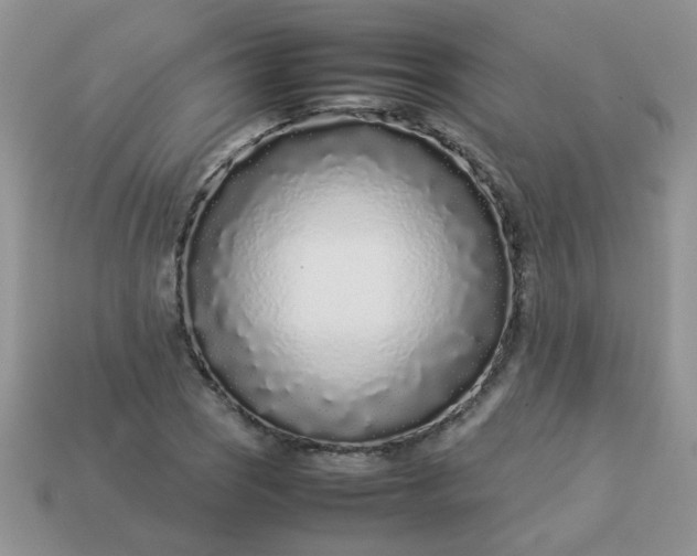 X0000113031121200909101852