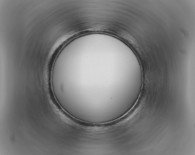 X0000113031122200909101852