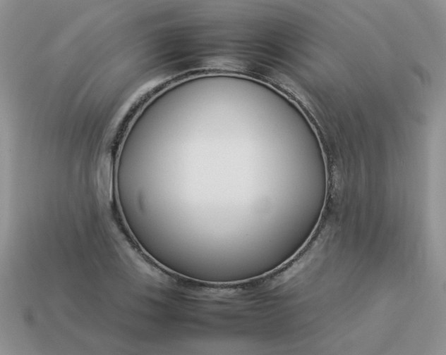 X0000113031123200909101852