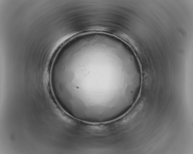 X0000113031125200909101852