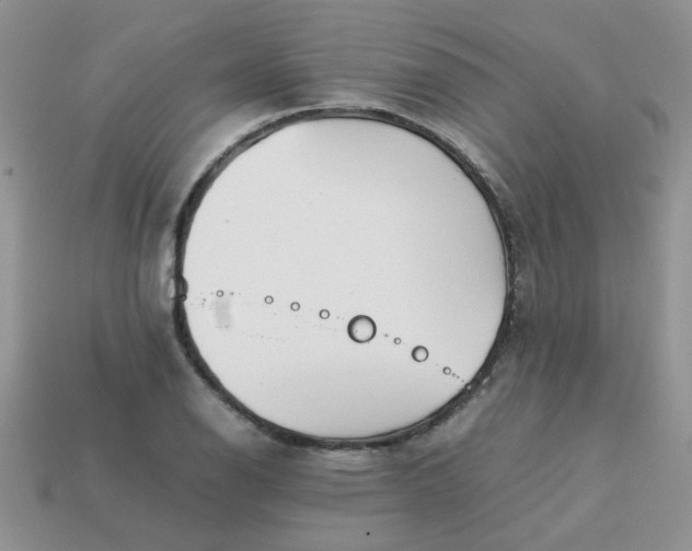 X0000113031126200909101852