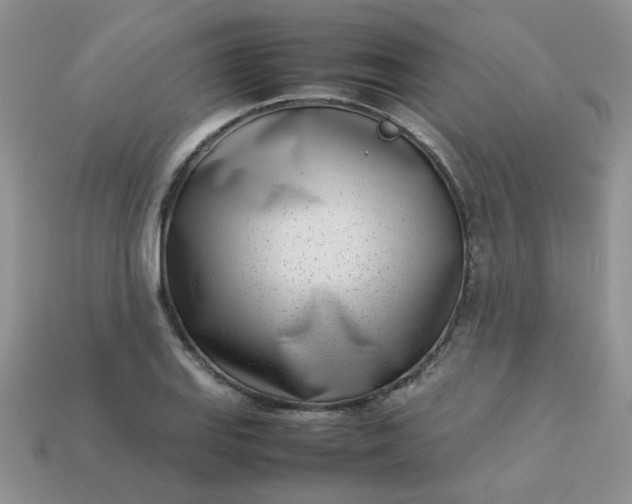 X0000113031127200909101852