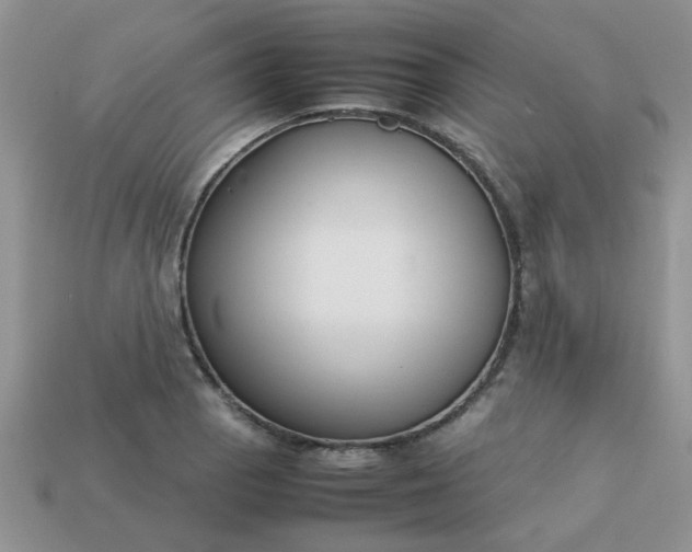 X0000113031129200909101852