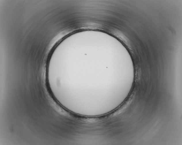 X0000113031130200909101852