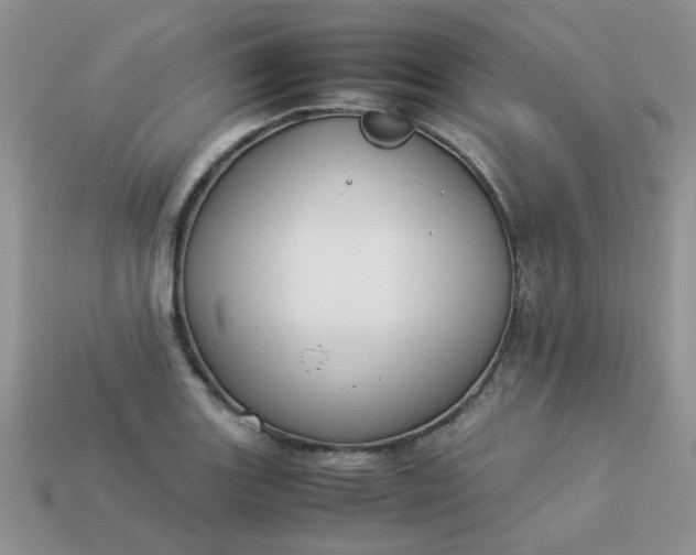 X0000113031131200909101852