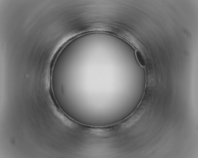 X0000113031132200909101852