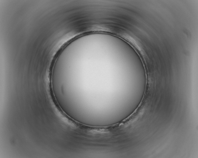 X0000113031133200909101852