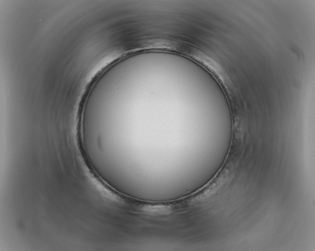 X0000113031135200909101852