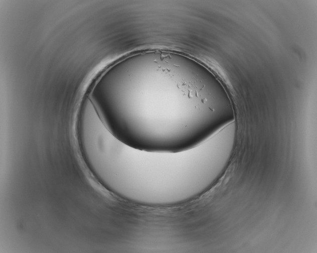 X0000113031136200909101852