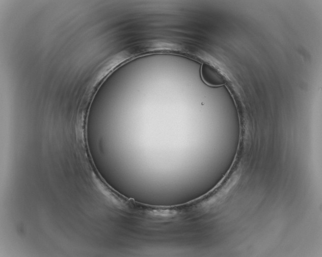 X0000113031137200909101852