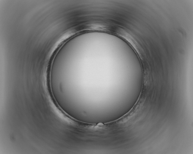 X0000113031139200909101852