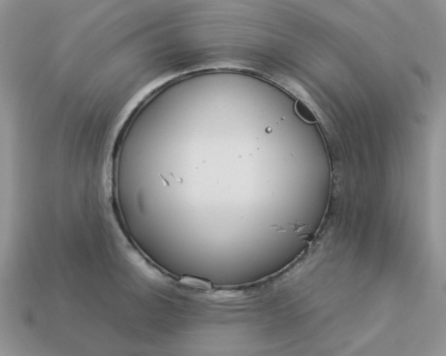 X0000113031140200909101852