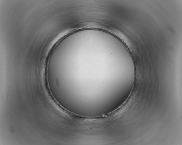 X0000113031142200909101852