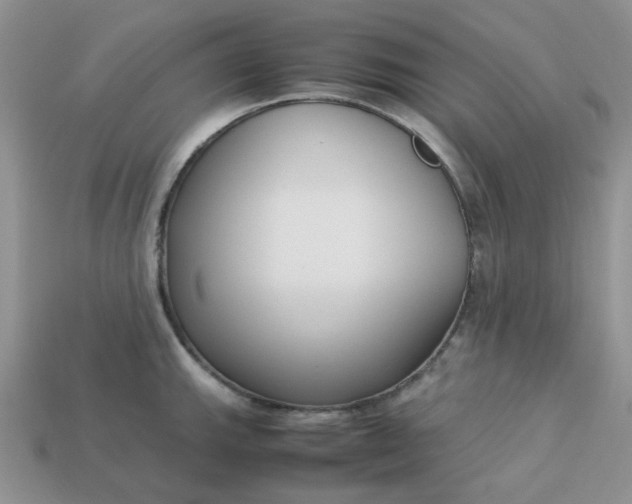 X0000113031143200909101852