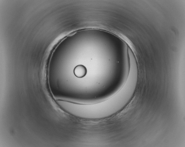 X0000113031144200909101852