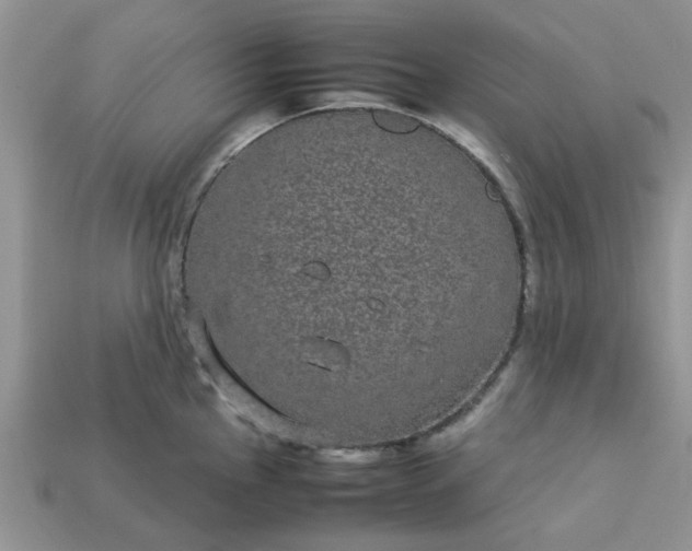 X0000113031145200909101852