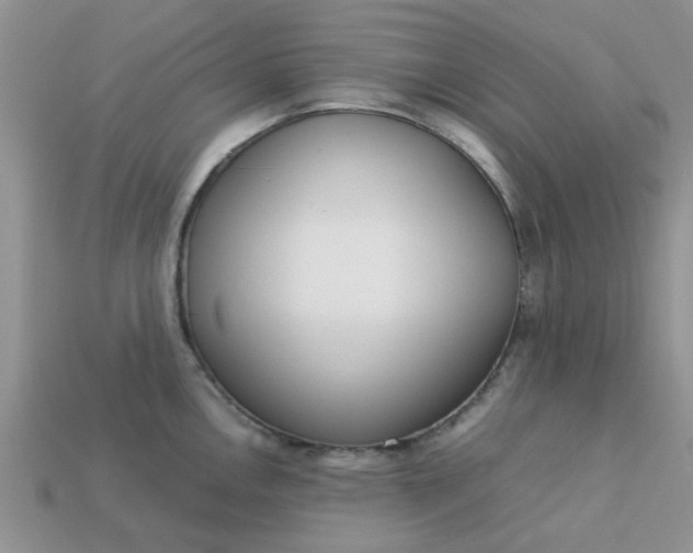 X0000113031146200909101852