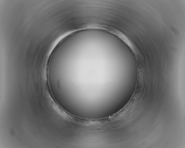 X0000113031148200909101852