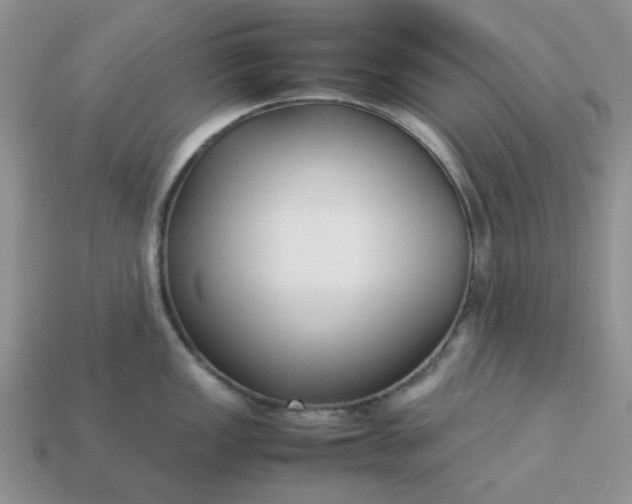 X0000113031149200909101852