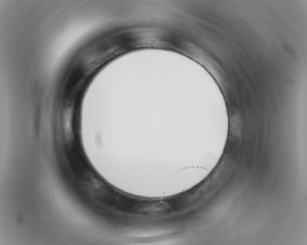 X0000113031150200909101852