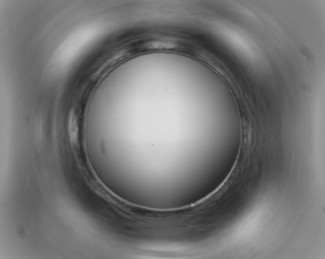 X0000113031151200909101852