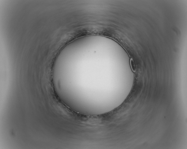 X0000113031153200909101852