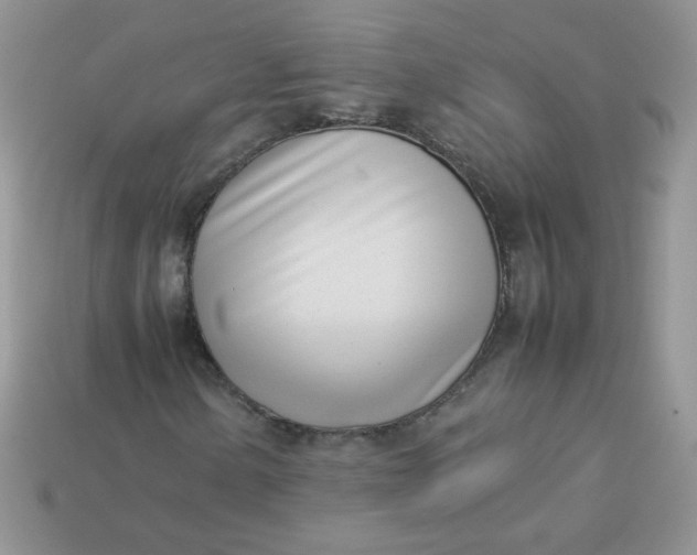 X0000113031154200909101852