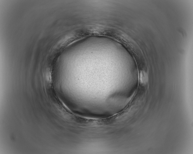 X0000113031155200909101852