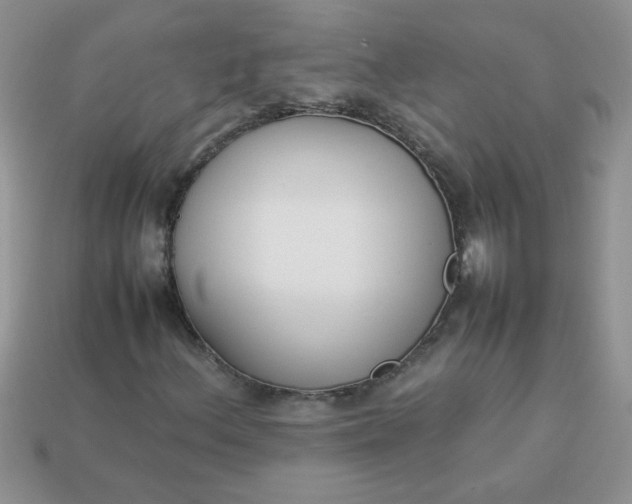 X0000113031156200909101852