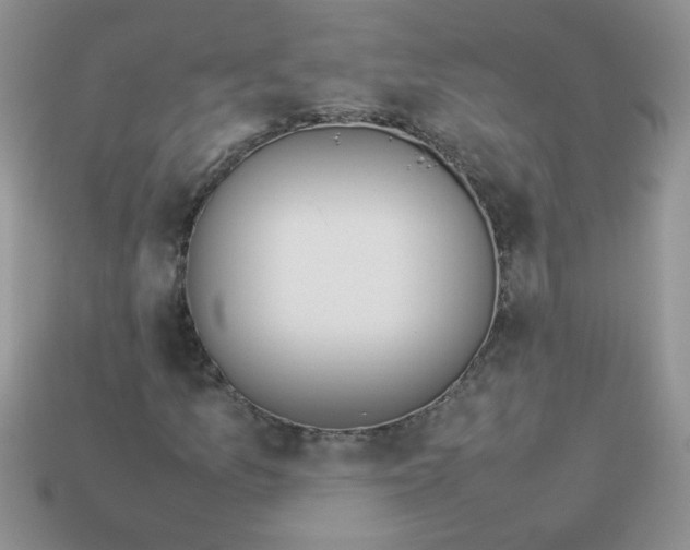 X0000113031157200909101852