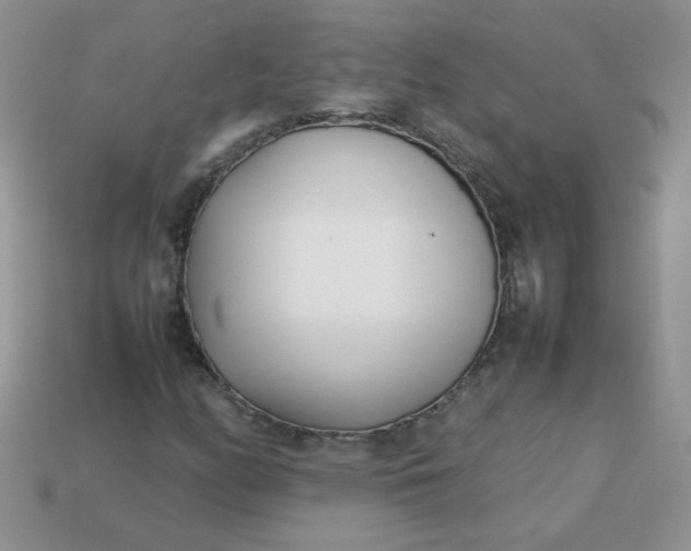 X0000113031158200909101852