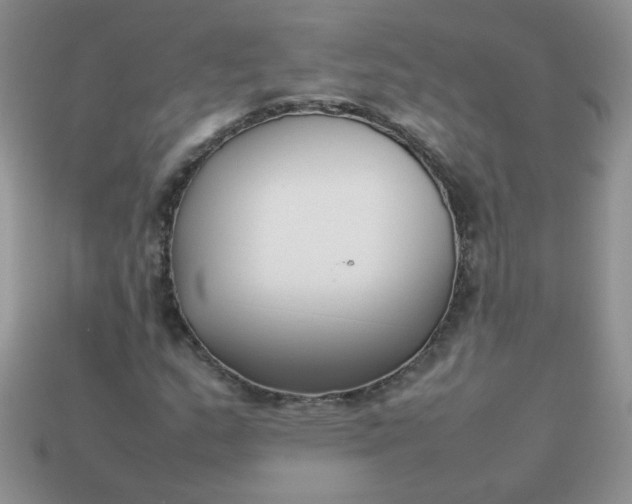 X0000113031159200909101852