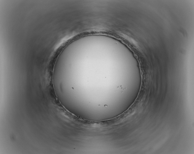 X0000113031160200909101852