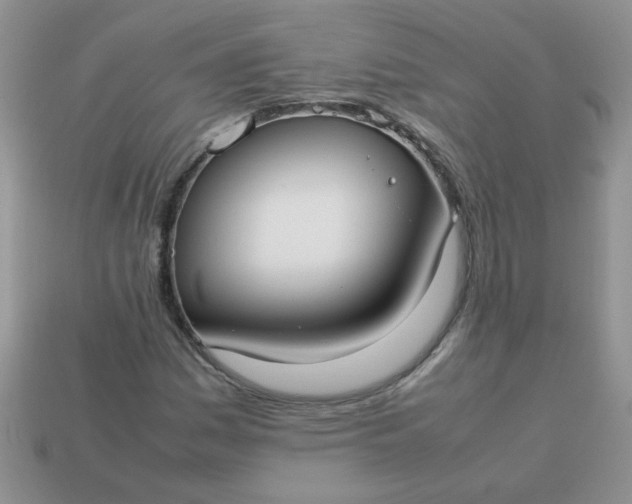 X0000113031161200909101852