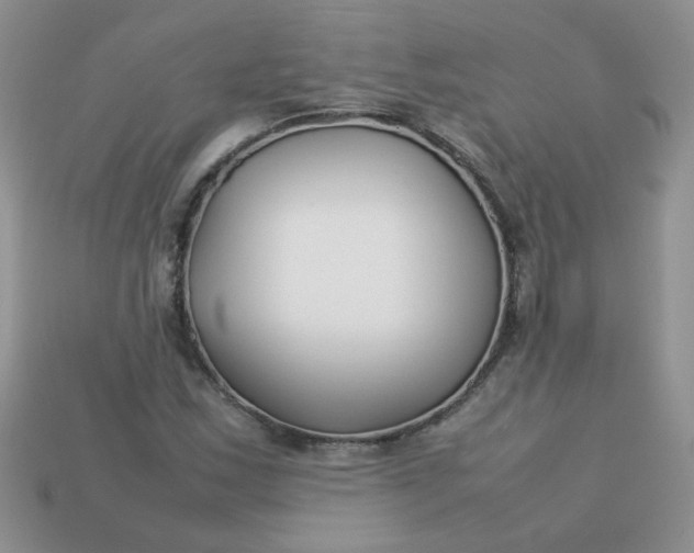 X0000113031163200909101852