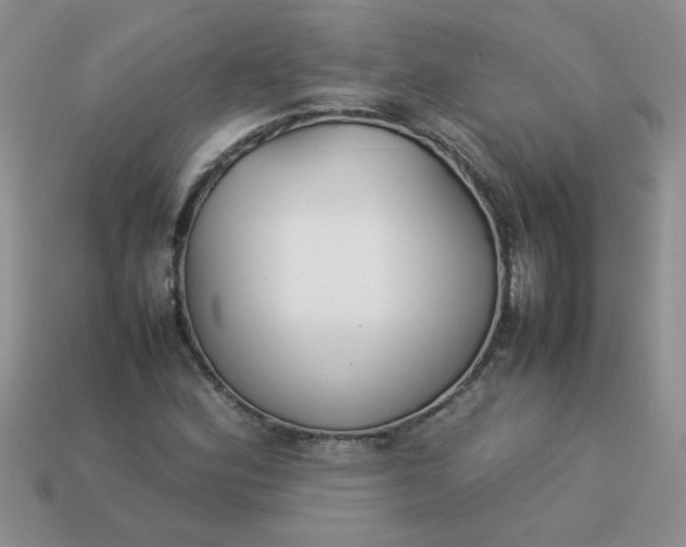 X0000113031164200909101852