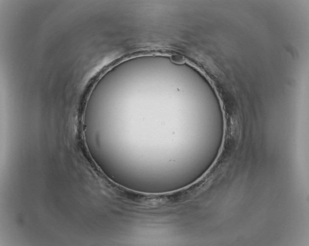 X0000113031165200909101852