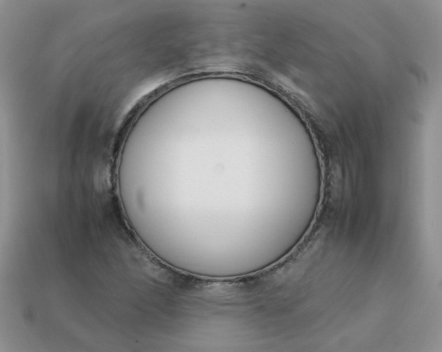 X0000113031166200909101852