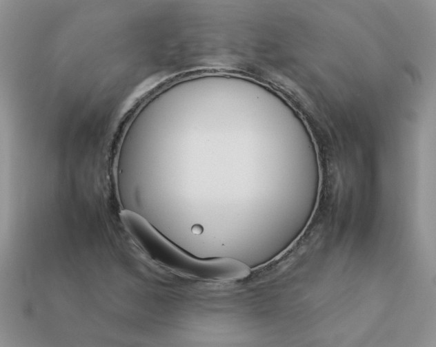 X0000113031168200909101852