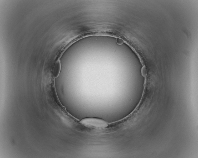 X0000113031169200909101852