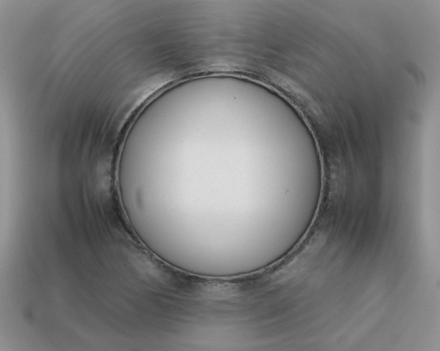 X0000113031170200909101852