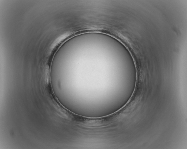 X0000113031171200909101852