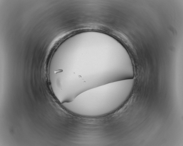 X0000113031172200909101852