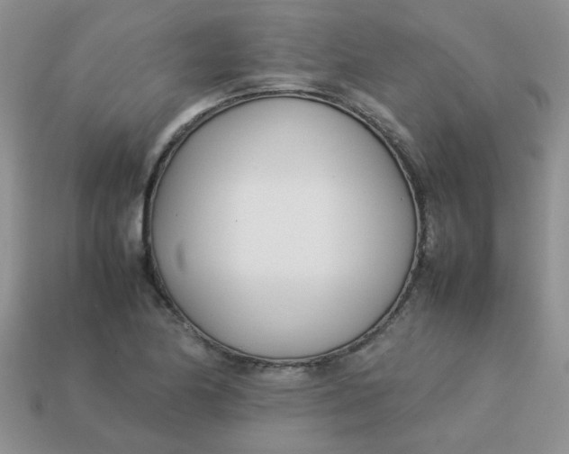 X0000113031174200909101852