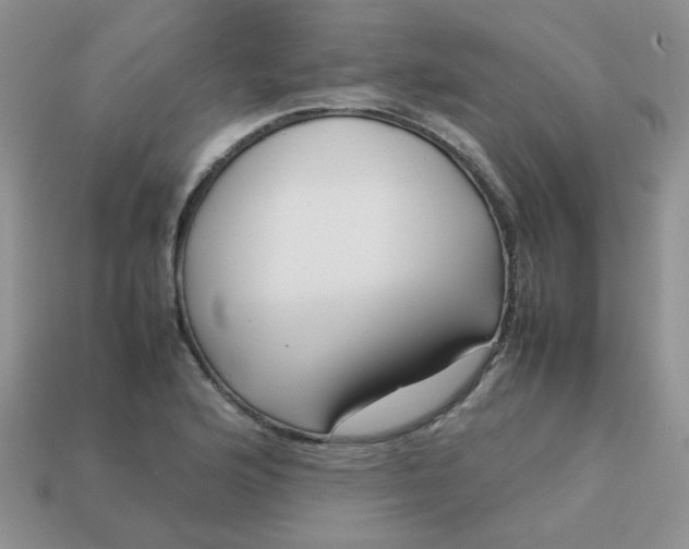 X0000113031176200909101852