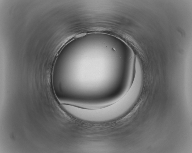 X0000113031177200909101852