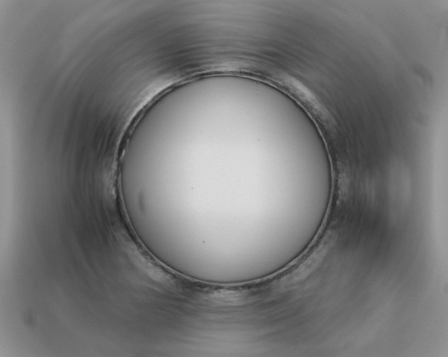 X0000113031178200909101851