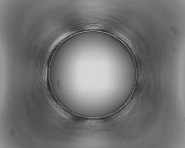 X0000113031179200909101851