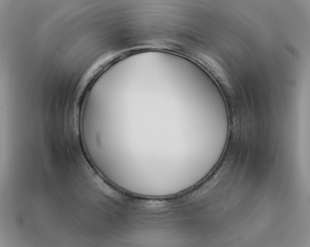 X0000113031180200909101851