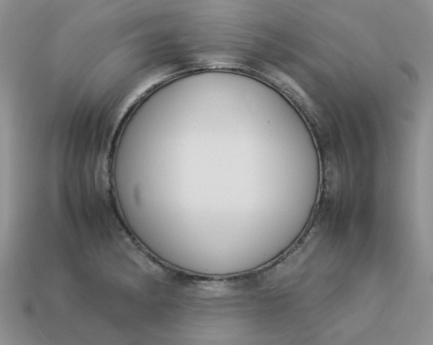 X0000113031182200909101851